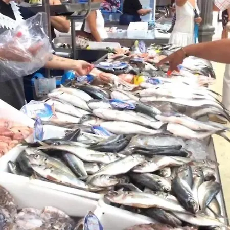 Tonay Sol 7d * Buarcos