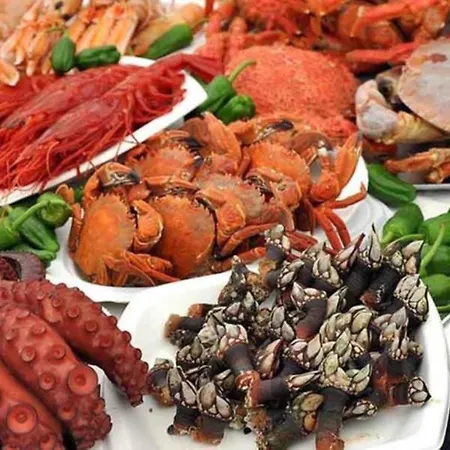 Tonay Sol 7d Buarcos