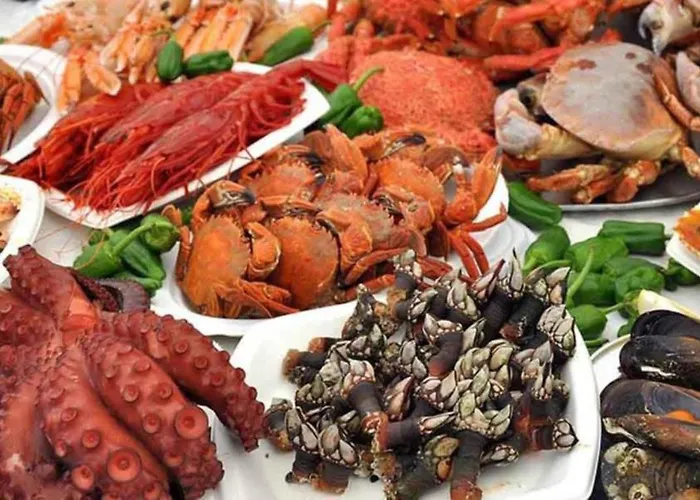 Tonay Sol 7d Buarcos